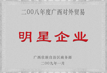 2009年明星企業